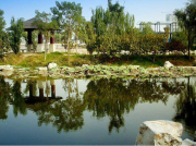 為什么現(xiàn)在南方電機(jī)比以前更容易燒壞？