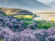 學(xué)習(xí)專業(yè)技術(shù),完成自我超越——南方長河產(chǎn)品技術(shù)支持培訓(xùn)圓滿完成